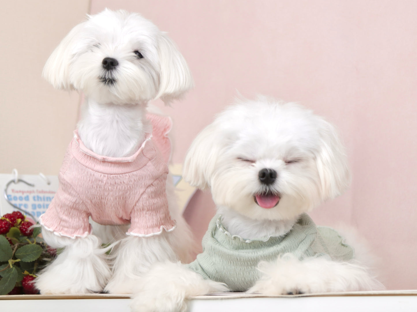 フリルかわいいTシャツ💗