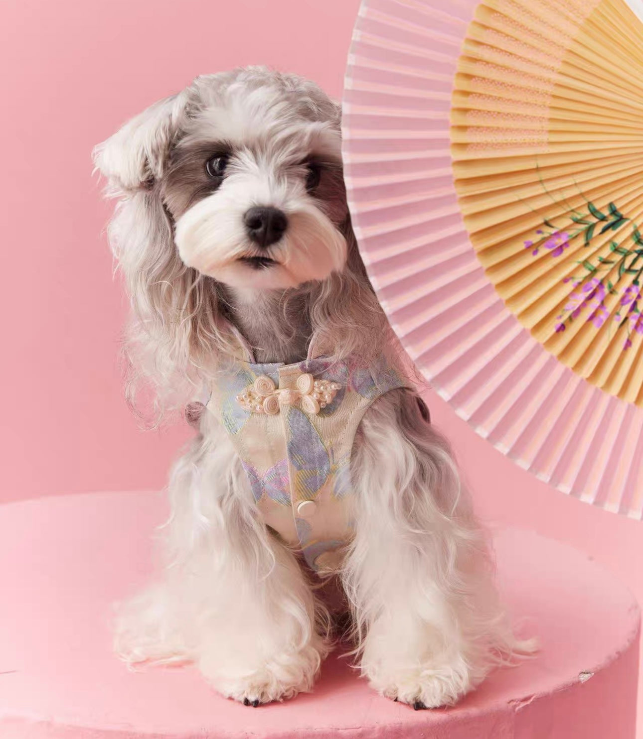 〜11kgまで|犬服|袖なし刺繡蝶々柄🦋ワンピース