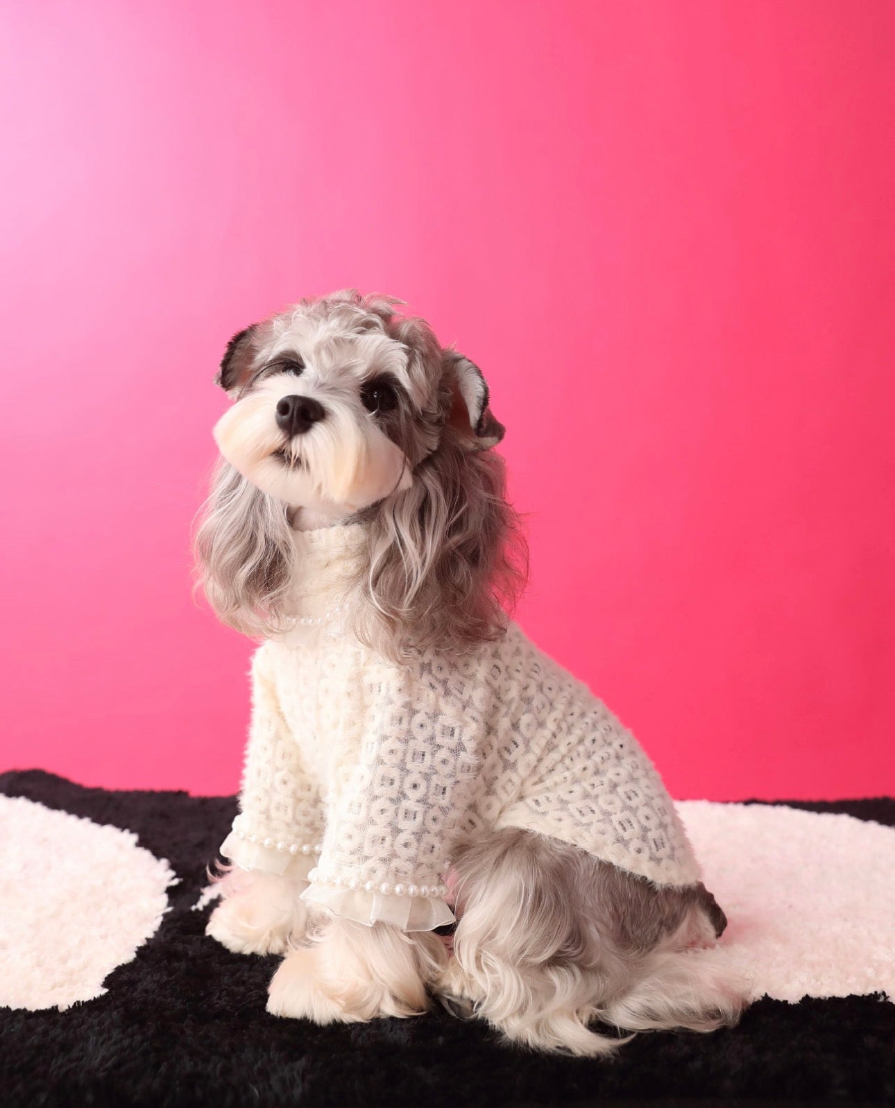 〜11kgまで|犬服|プリンセス風インナー