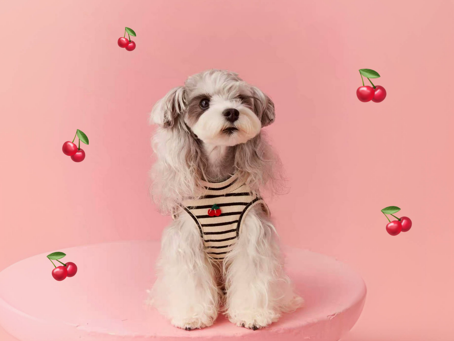 〜11kgまで|犬服|チェリー🍒柄横縞袖なしTシャツ