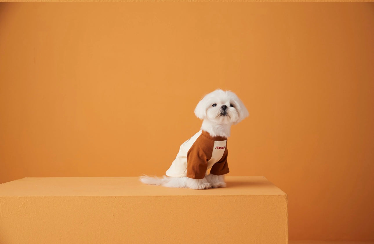〜11kgまで|犬服|わんちゃんの友達刺繍Tシャツ