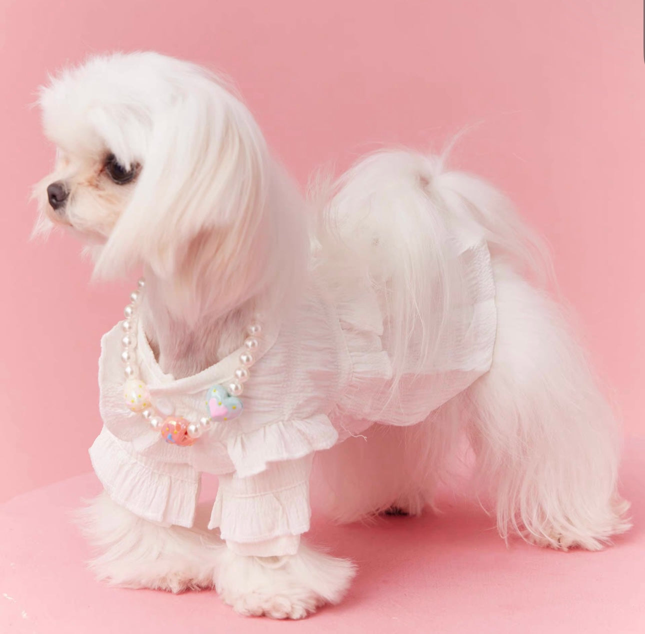 〜11kgまで|犬服|プリンセス風フリルワンピース
