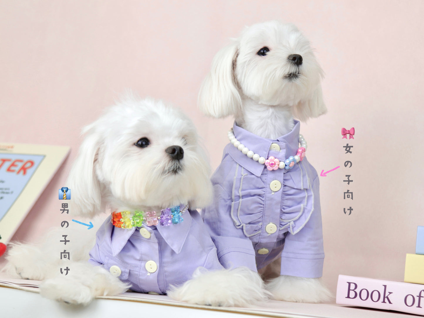 〜7.5kgまで犬服|紳士ワイシャツ フリルブラウス