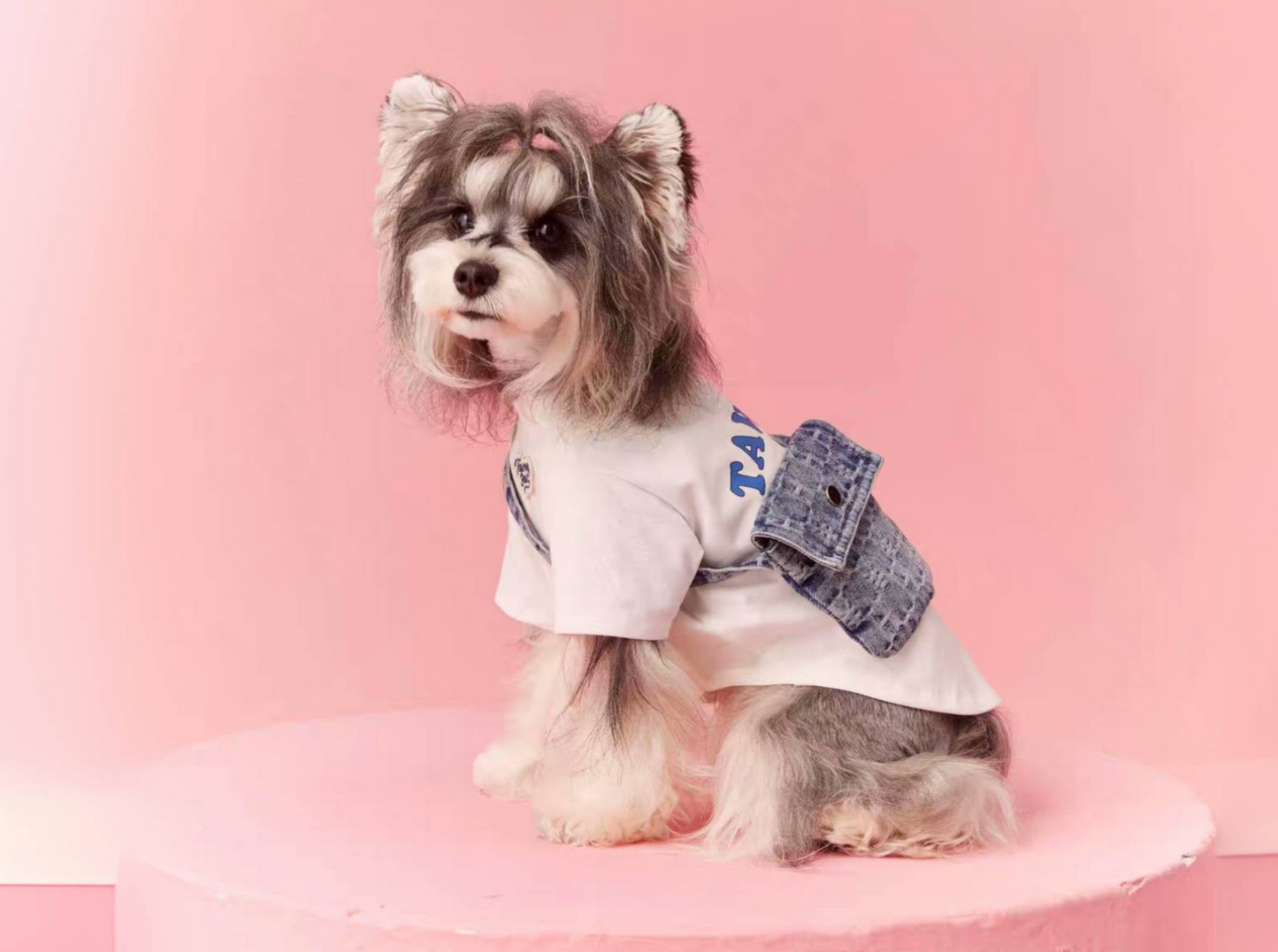 〜11kgまで|犬服|かわいい犬柄Tシャツデニムバッグ付き