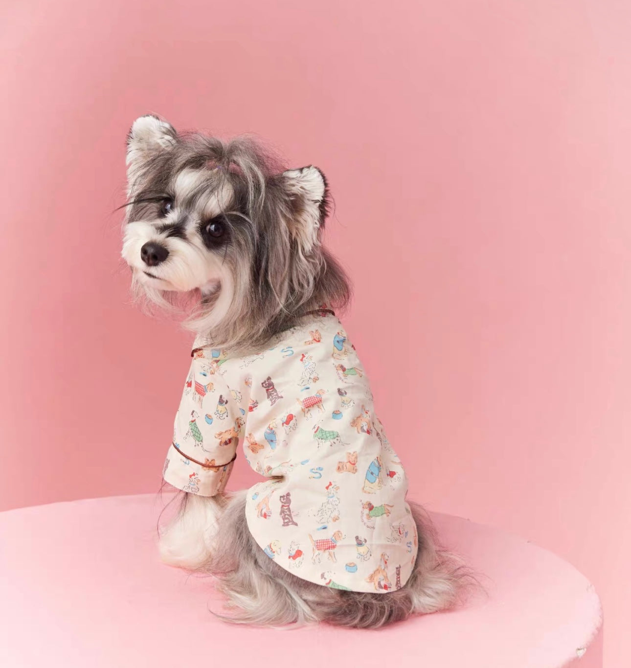 〜11kgまで|犬服|わんちゃん柄シャツ·フリルワンピース