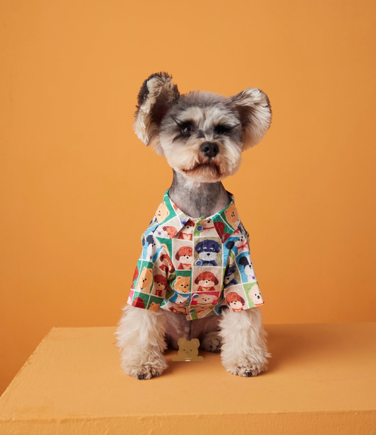 〜11kgまで|犬服|わんちゃんxチェック柄シャツ