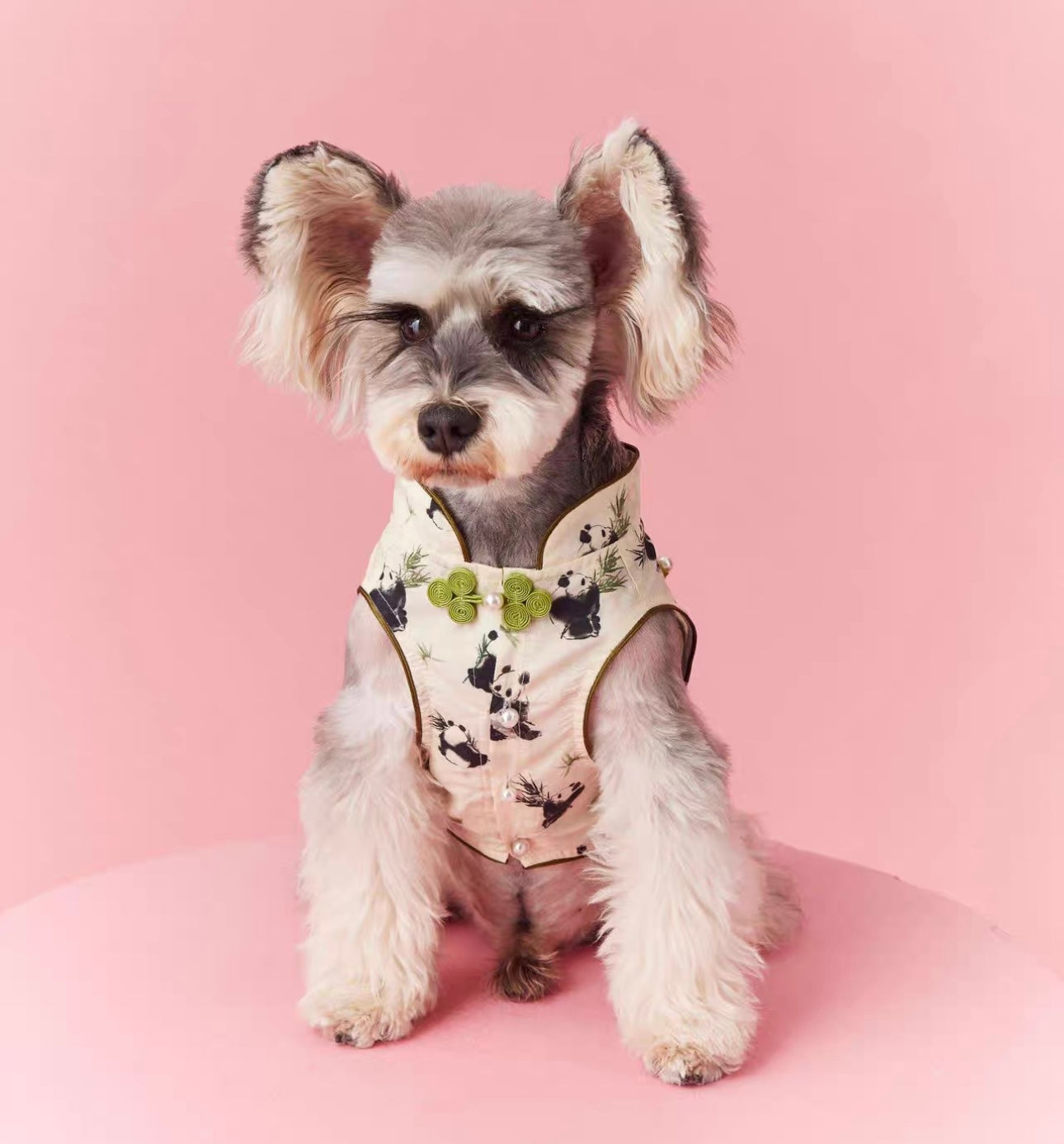 【販売終了】|犬服|超人気のパンダ柄ペットウェア🐼