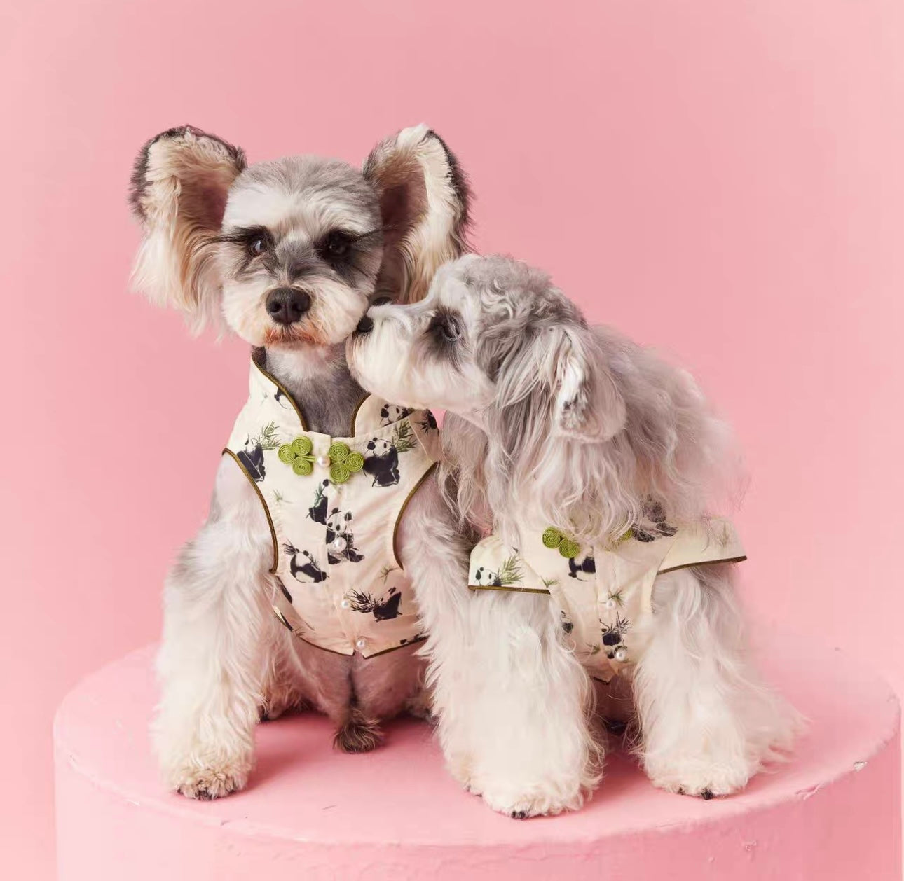 【販売終了】|犬服|超人気のパンダ柄ペットウェア🐼