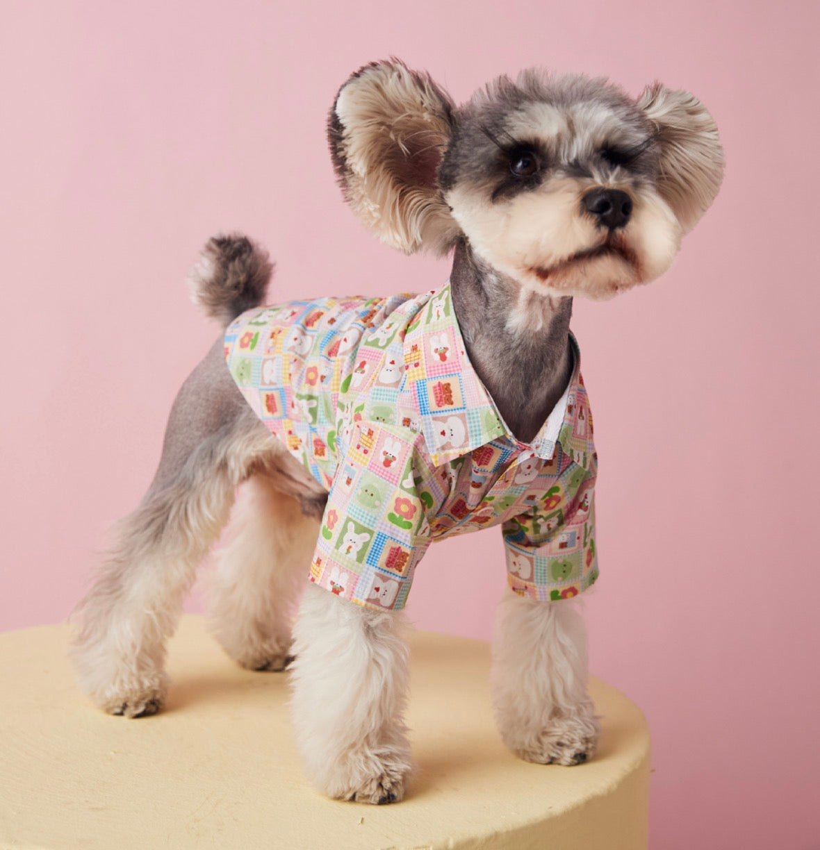 〜11kgまで|犬服|兎柄チェックシャツ