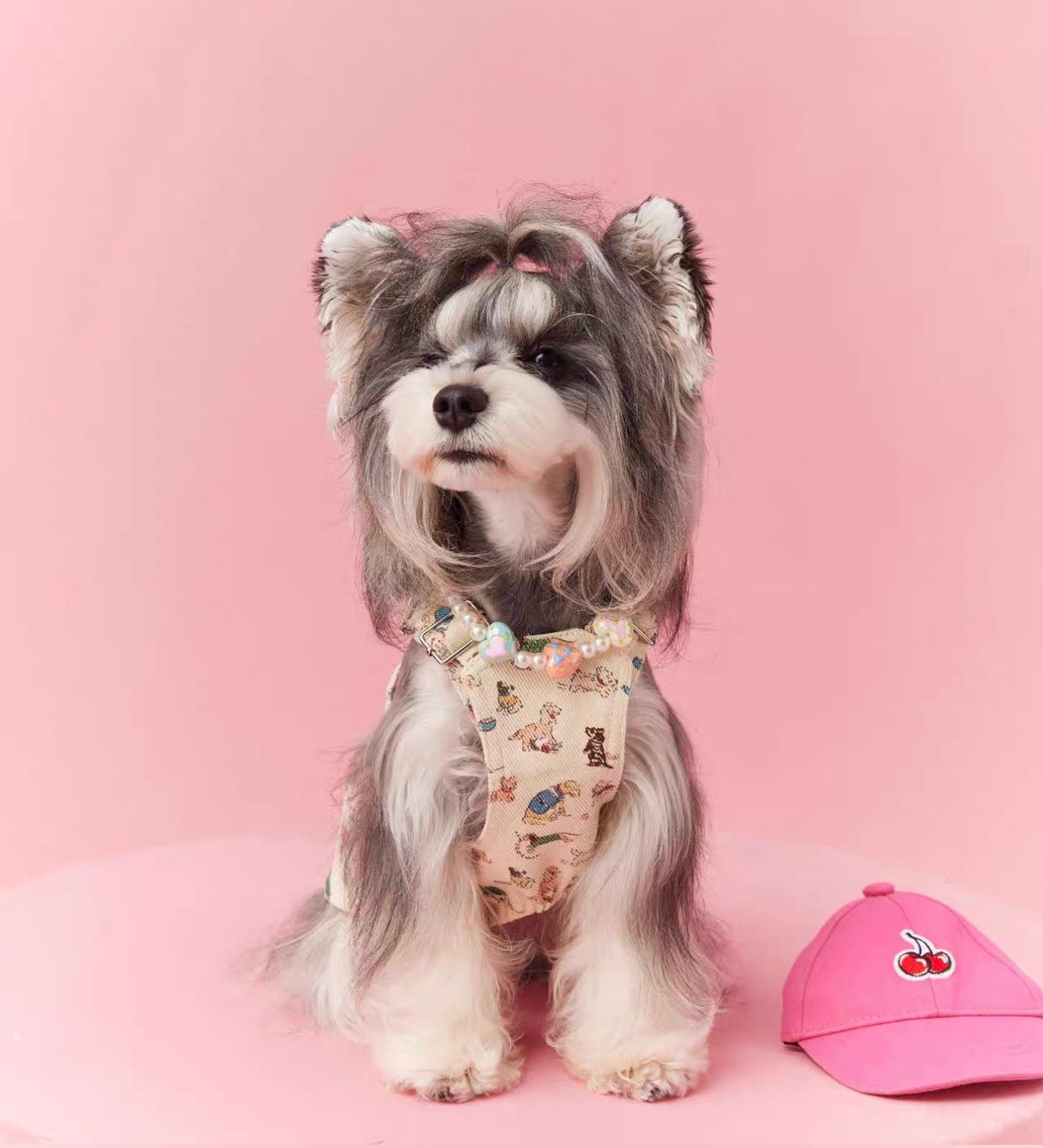 〜11kgまで|犬服|ワンちゃん柄サロペットスカート