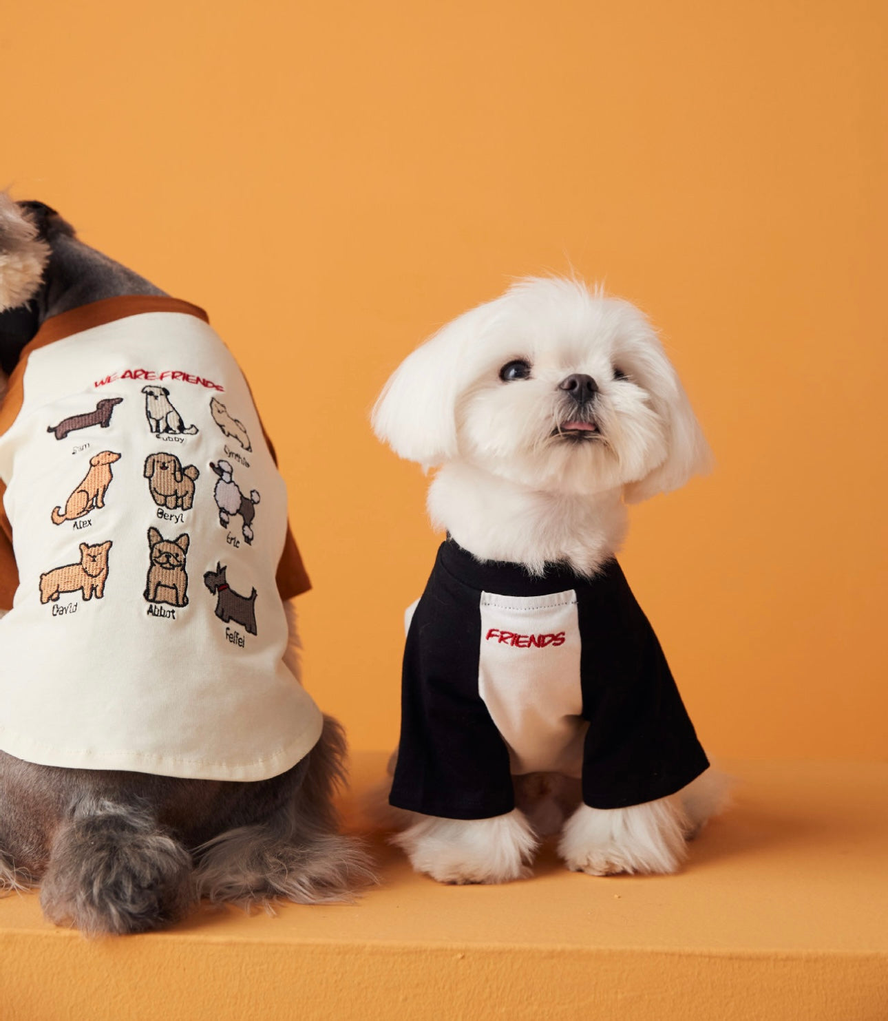 〜11kgまで|犬服|わんちゃんの友達刺繍Tシャツ