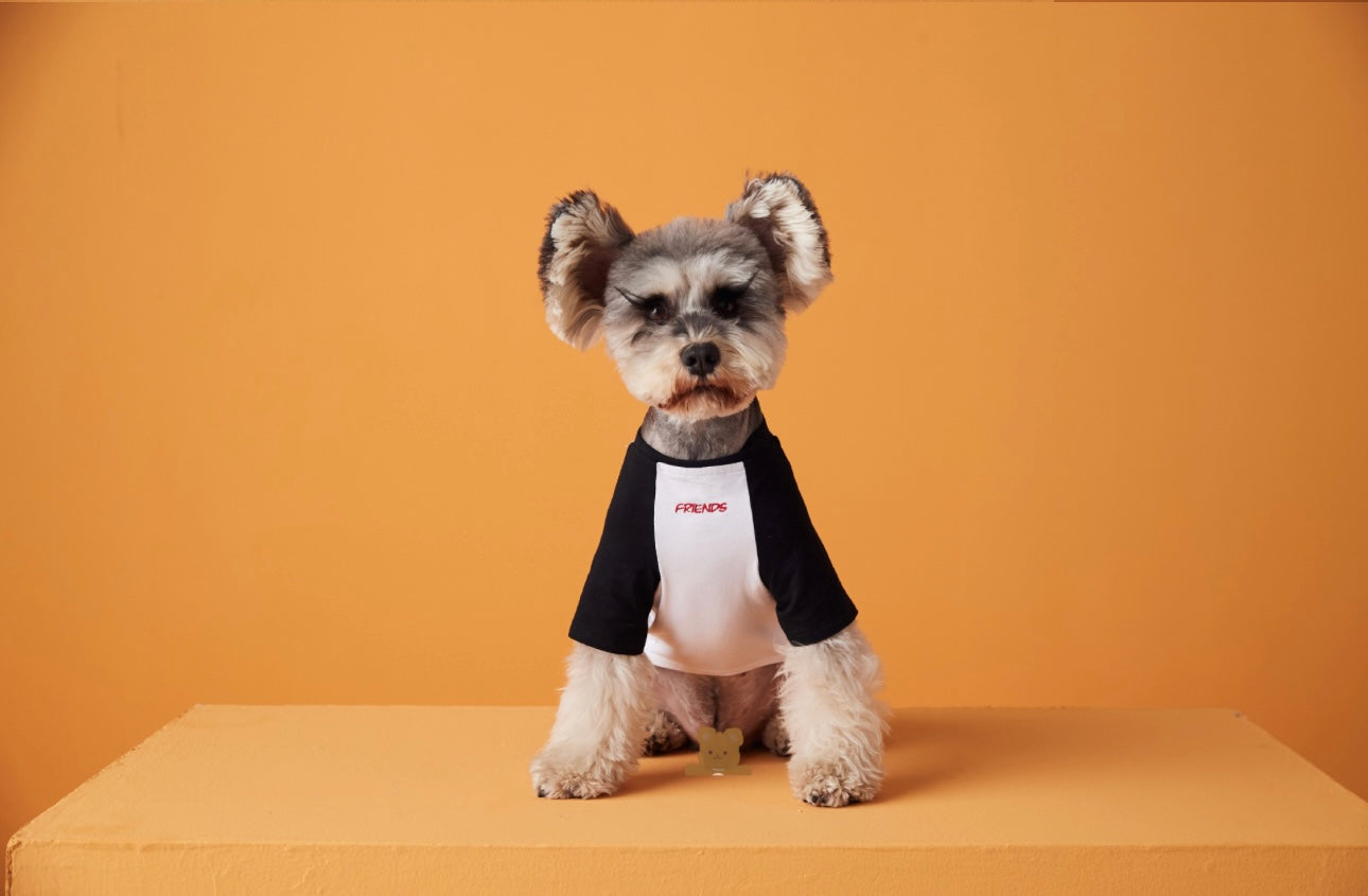 〜11kgまで|犬服|わんちゃんの友達刺繍Tシャツ