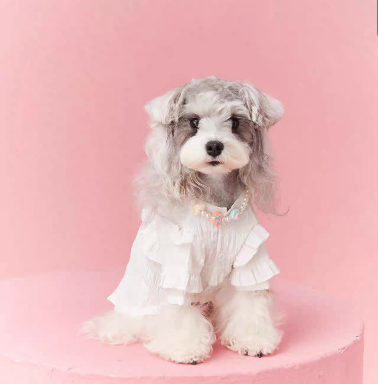 〜11kgまで|犬服|プリンセス風フリルワンピース