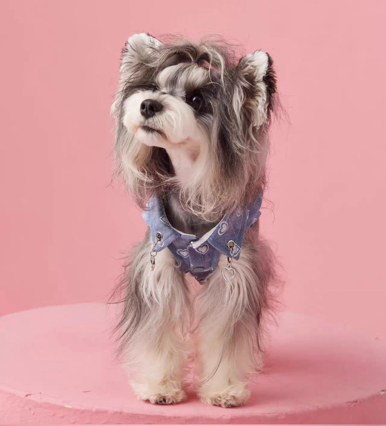 〜11kgまで|犬服|ハート柄デニムベスト