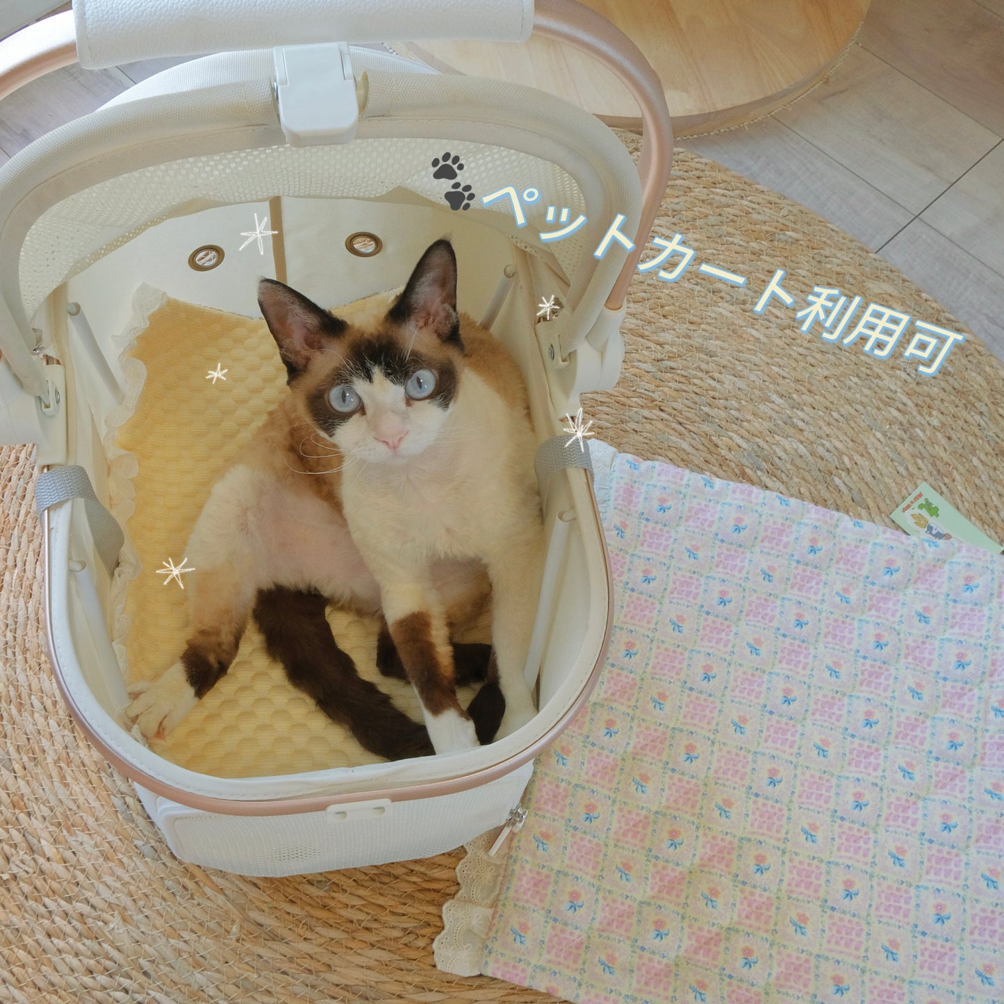 <新作> cool item🧊 わんちゃん🐶ねこちゃん🐱用「2way接触冷感カフェマット」夏アイテム 韓国生地 涼感アイテム ハンドメイド 接触冷感