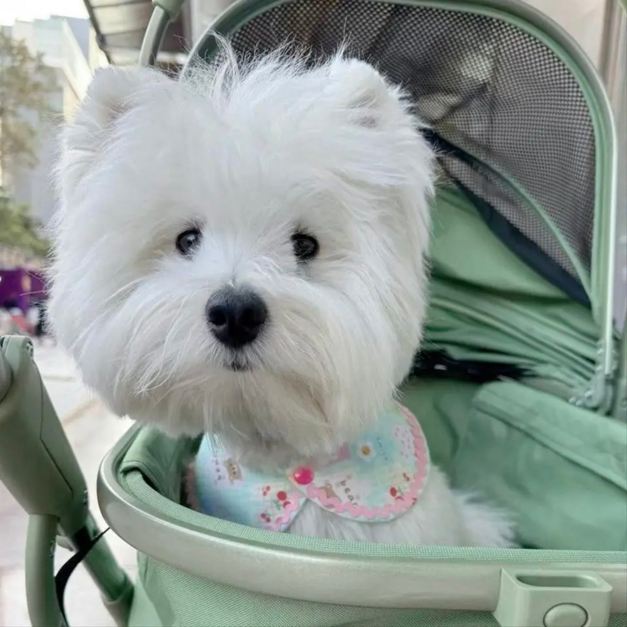 【夏🧩セール♪12%OFF】⭐︎パズル柄⭐︎ 犬猫用つけ襟 犬猫スタイ ペットスタイ よだれかけ ビブ