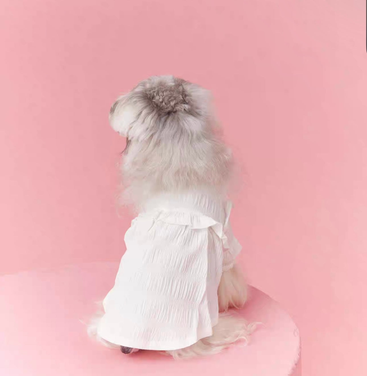 〜11kgまで|犬服|プリンセス風フリルワンピース