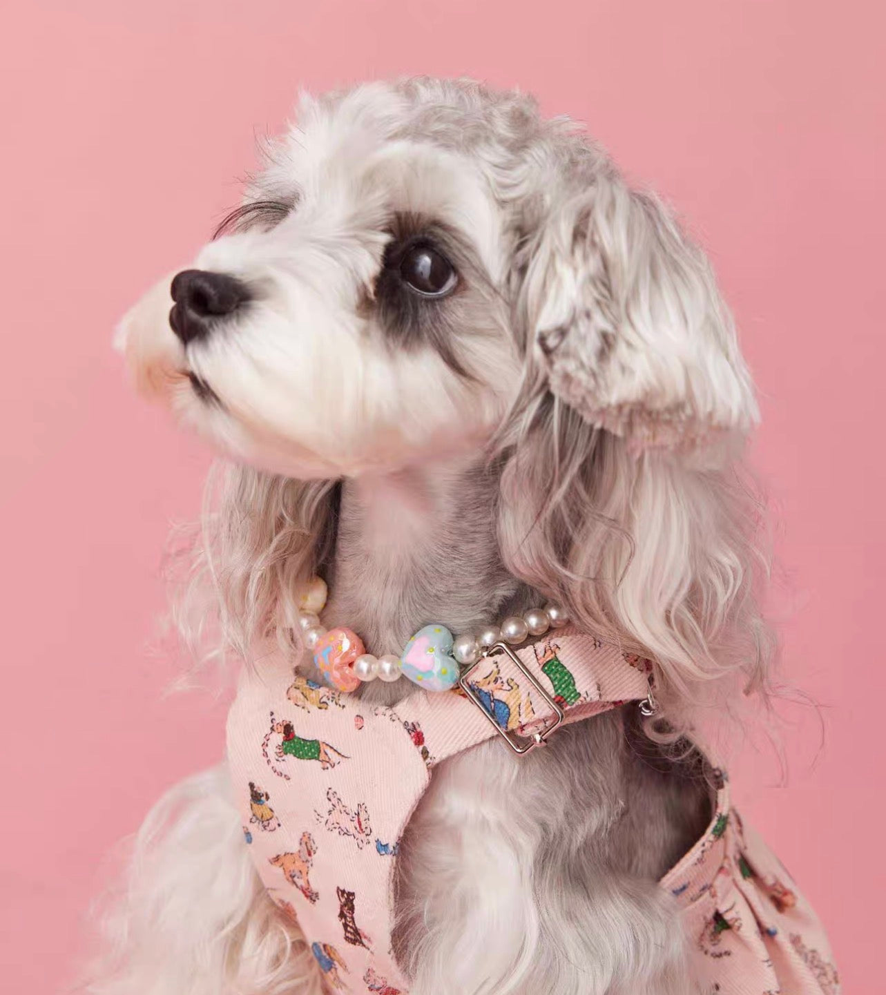 〜11kgまで|犬服|ワンちゃん柄サロペットスカート