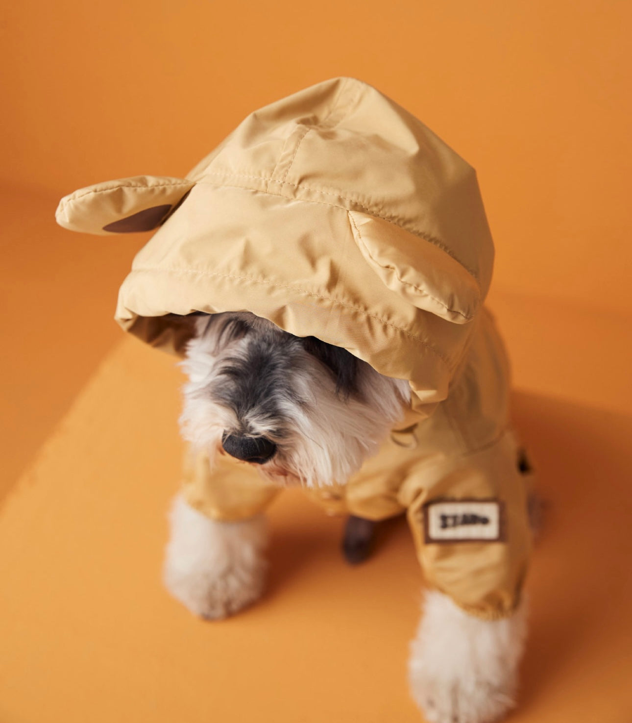 〜11kgまで|犬服|ペット用レインコート