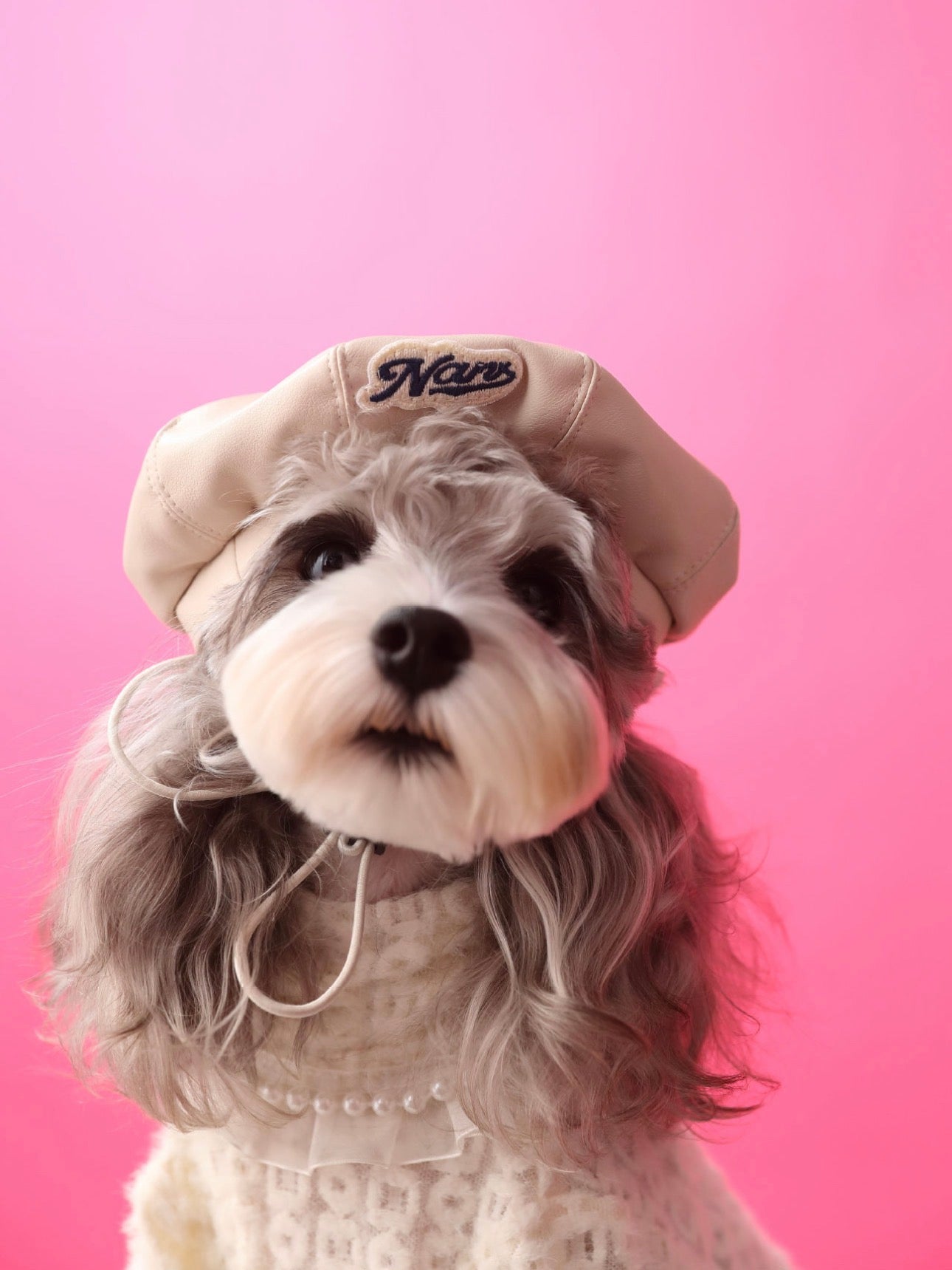〜11kgまで|犬服|プリンセス風インナー