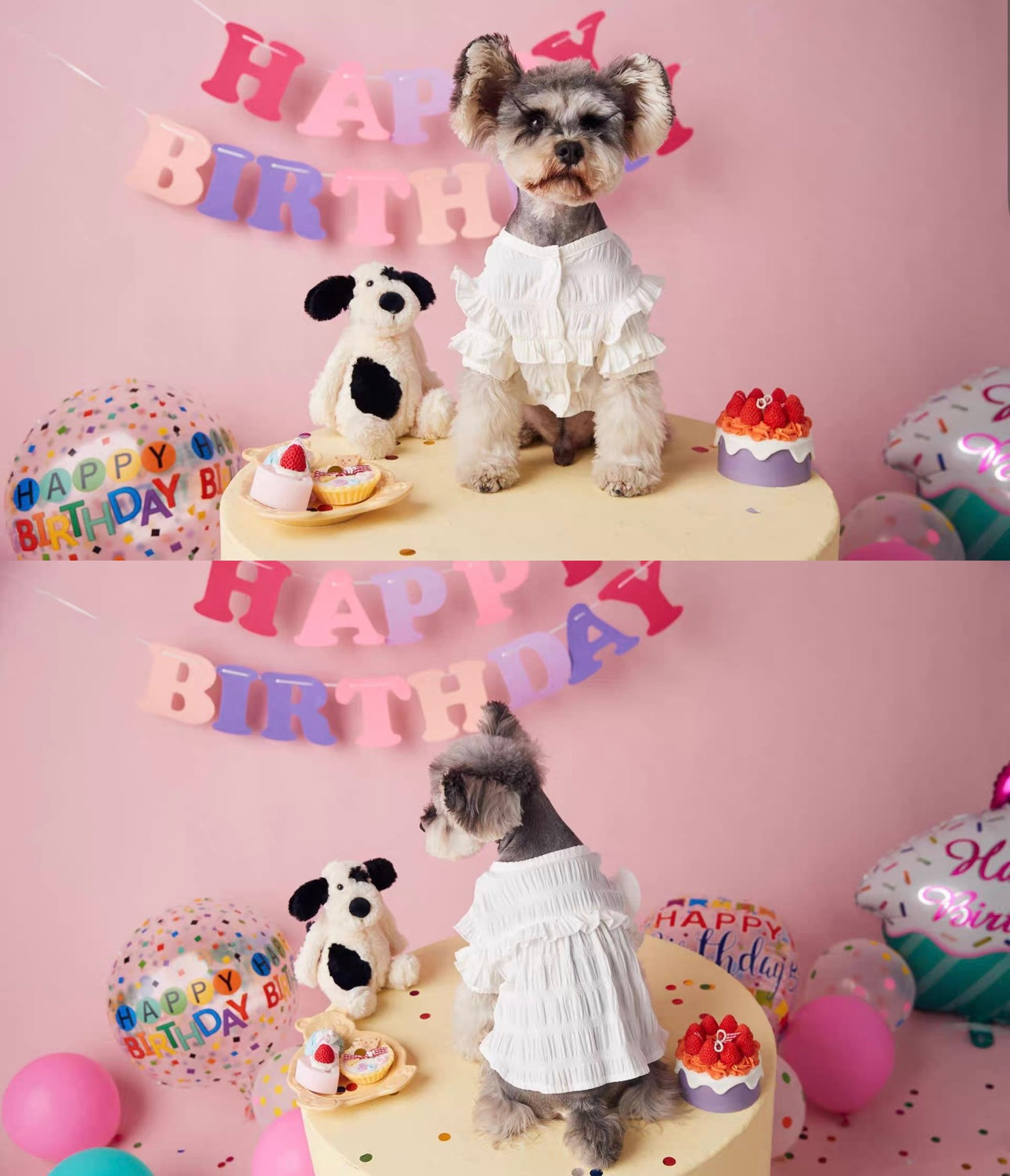 〜11kgまで|犬服|プリンセス風フリルワンピース