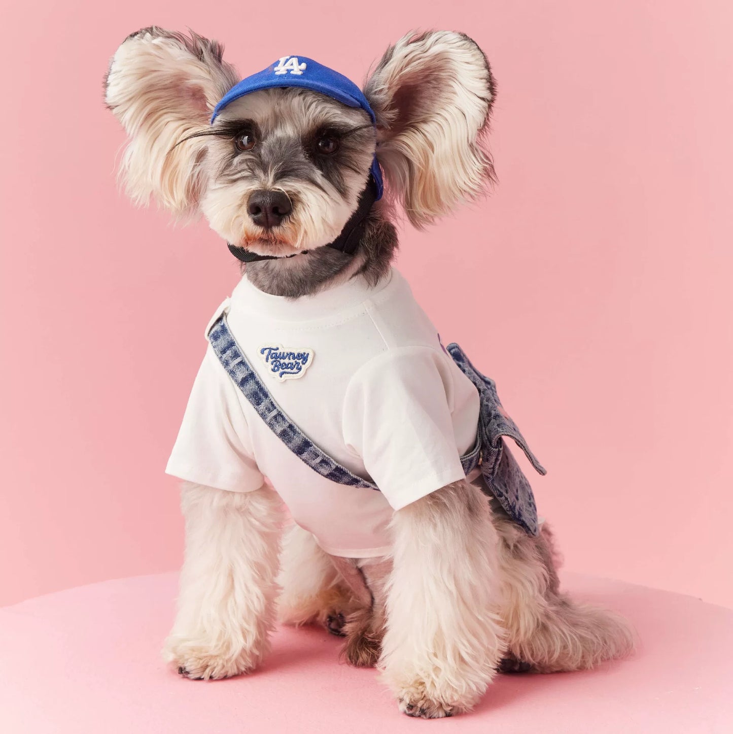 〜11kgまで|犬服|かわいい犬柄Tシャツデニムバッグ付き