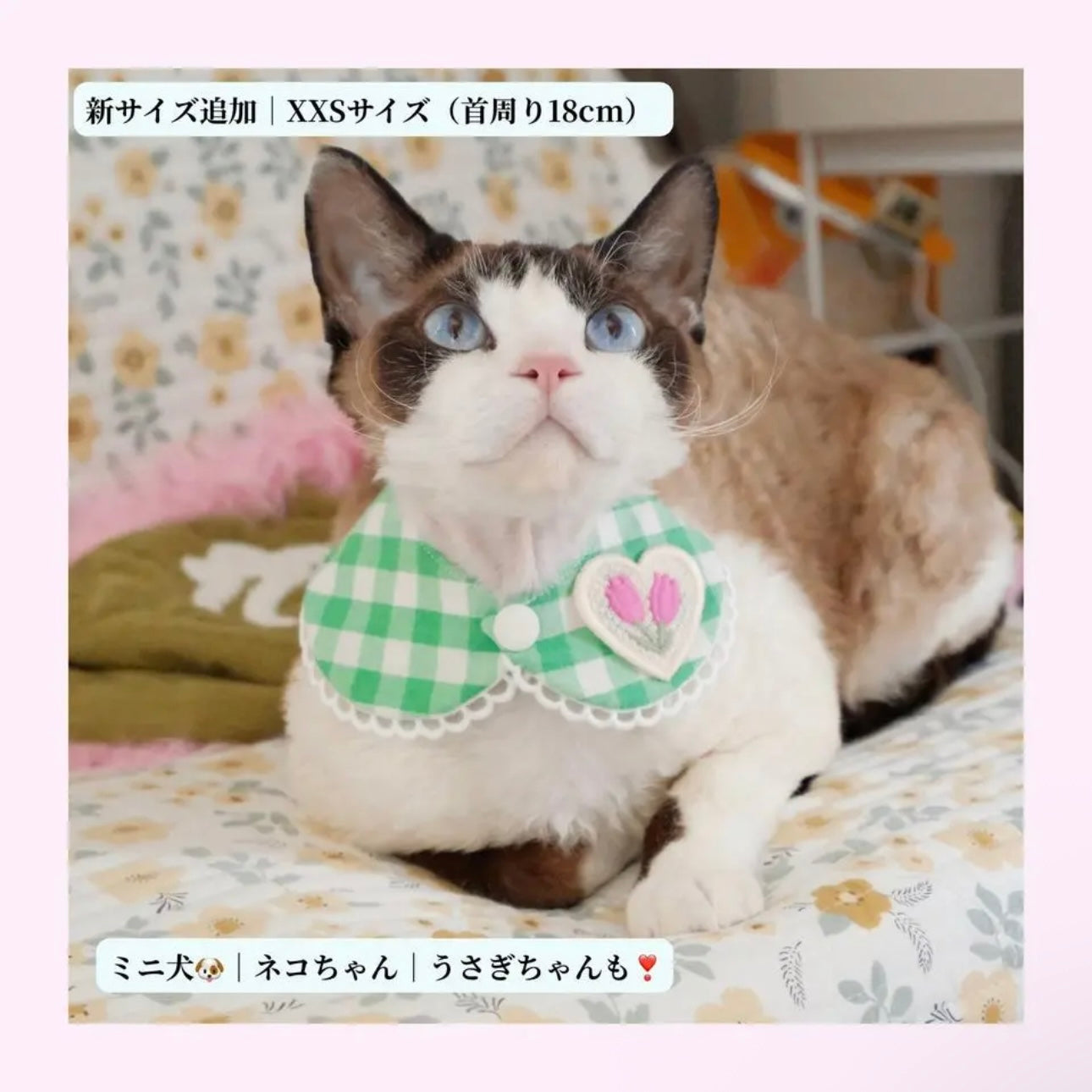 ⭐︎GREEN⭐︎クール付け襟 保冷剤ポケット付き 熱中症予防 犬用つけ襟 猫用つけ襟 犬スタイ 猫スタイ ペットスタイ 犬用スタイ 猫用スタイ よだれかけ ビブ