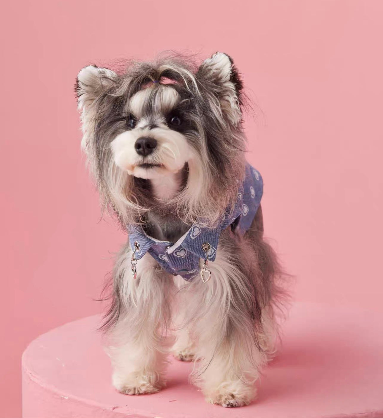 〜11kgまで|犬服|ハート柄デニムベスト