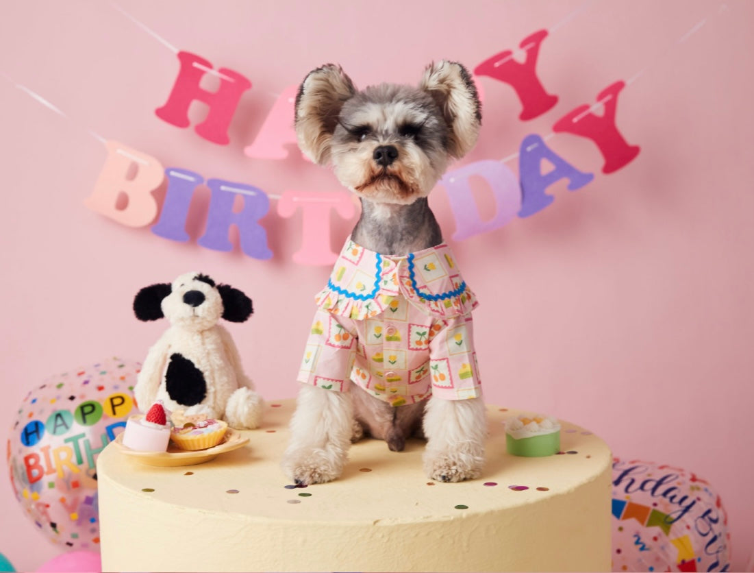 〜11kgまで|犬服|チェリー柄チェックシャツ