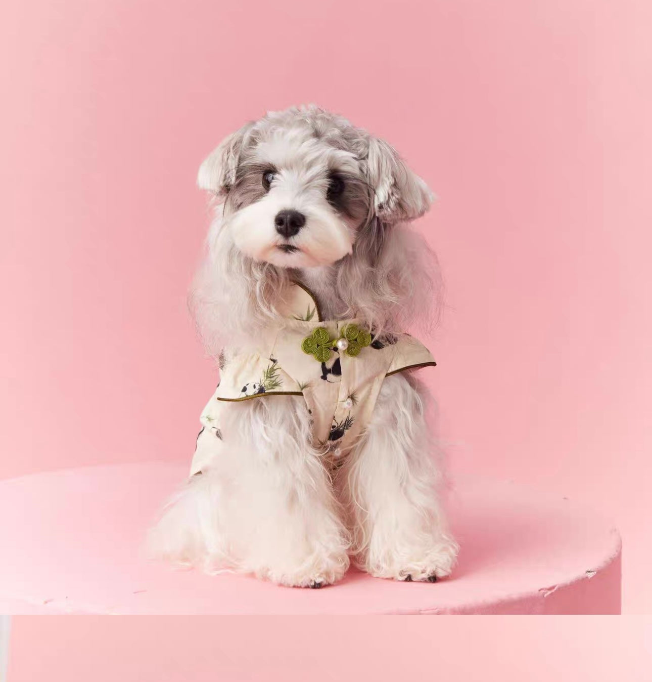【販売終了】|犬服|超人気のパンダ柄ペットウェア🐼