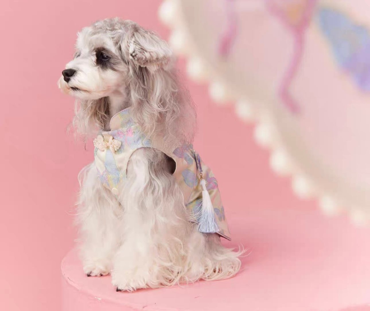 〜11kgまで|犬服|袖なし刺繡蝶々柄🦋ワンピース