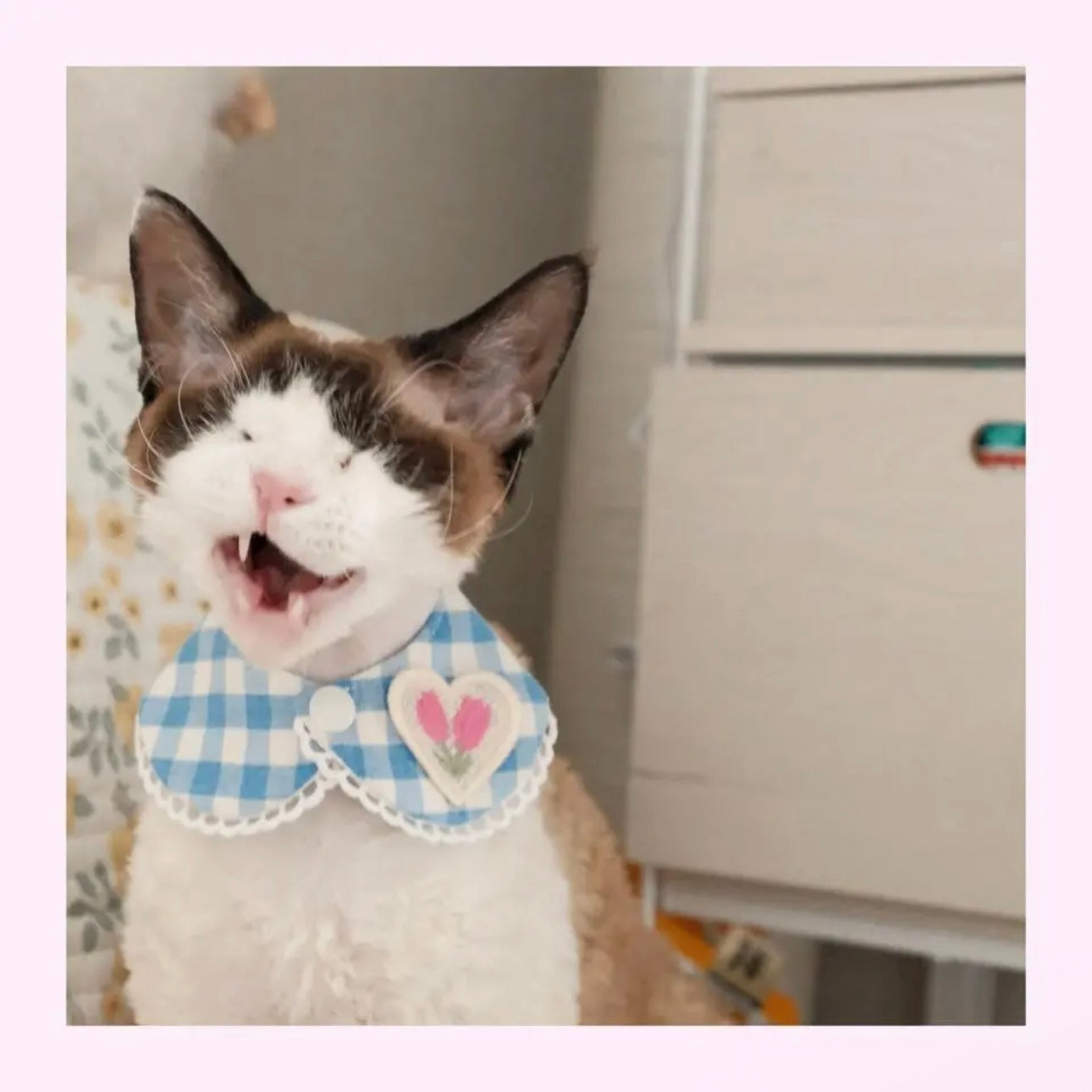⭐︎ BLUE⭐︎クール付け襟 保冷剤ポケット付き 夏対策 熱中症予防 犬用つけ襟 猫用つけ襟 犬スタイ 猫スタイ ペットスタイ 犬用スタイ 猫用スタイ よだれかけ ビブ