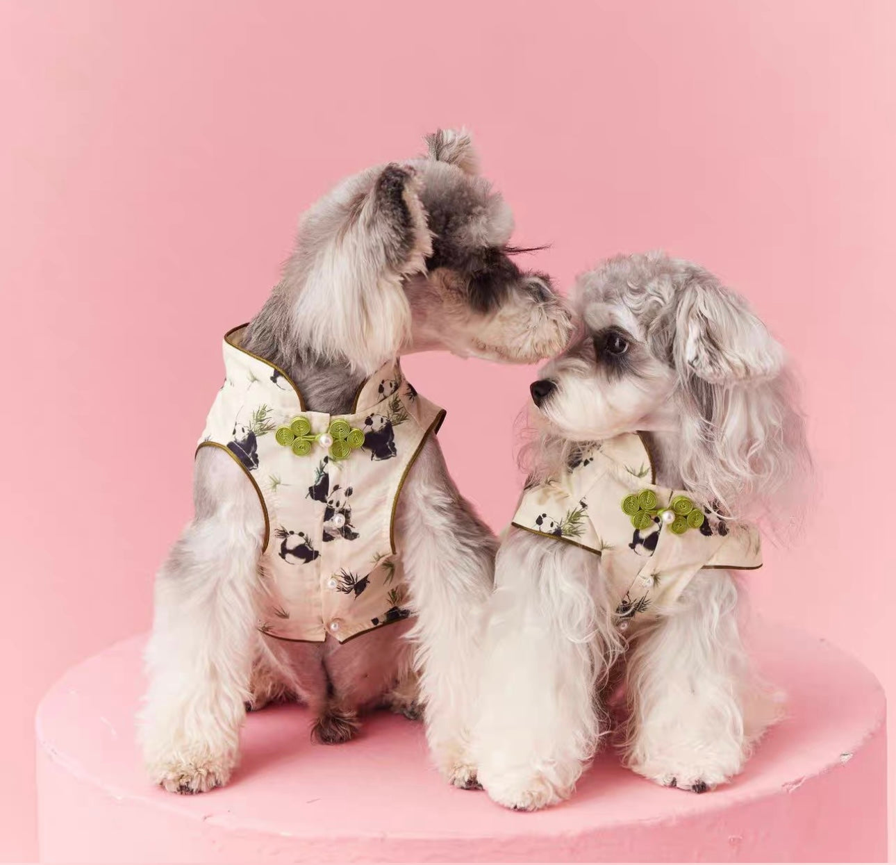 【販売終了】|犬服|超人気のパンダ柄ペットウェア🐼