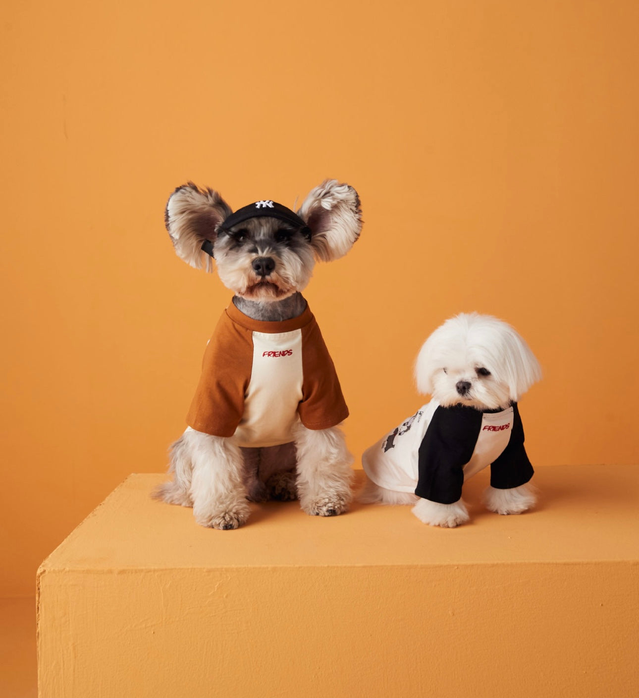 〜11kgまで|犬服|わんちゃんの友達刺繍Tシャツ