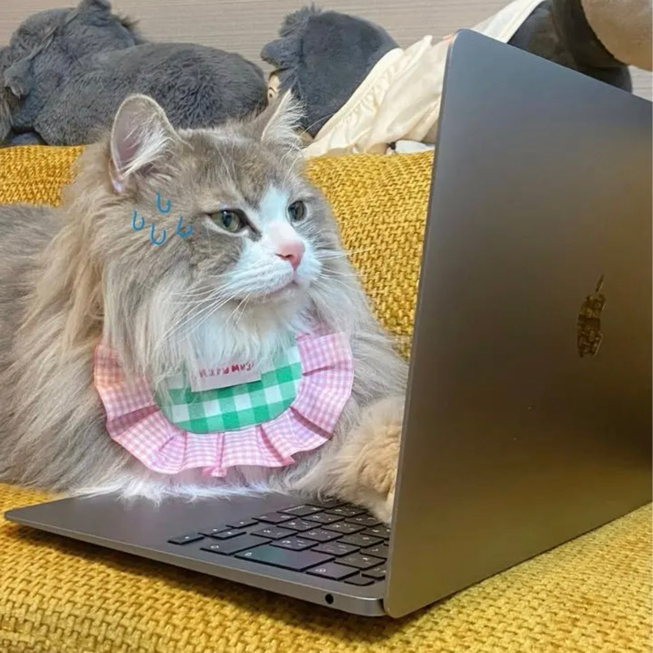 【夏💚セール♪12%OFF】犬スタイ 猫スタイ ペットスタイ 犬用スタイ 猫用スタイ よだれかけ ビブ