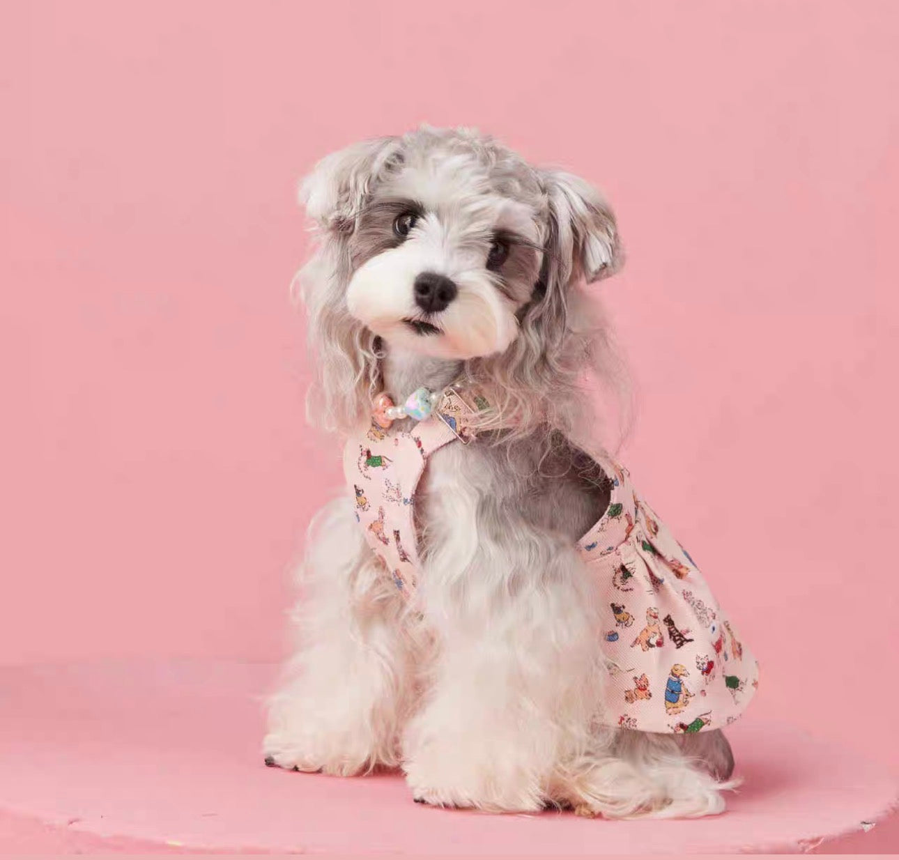 〜11kgまで|犬服|ワンちゃん柄サロペットスカート