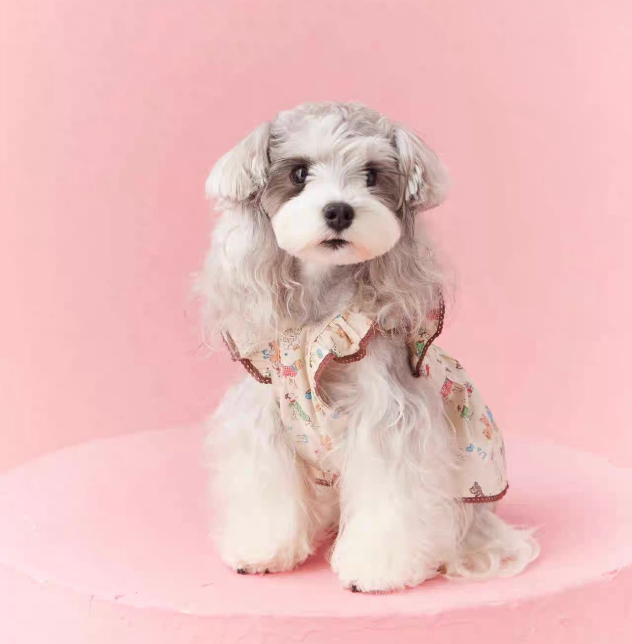 〜11kgまで|犬服|わんちゃん柄シャツ·フリルワンピース