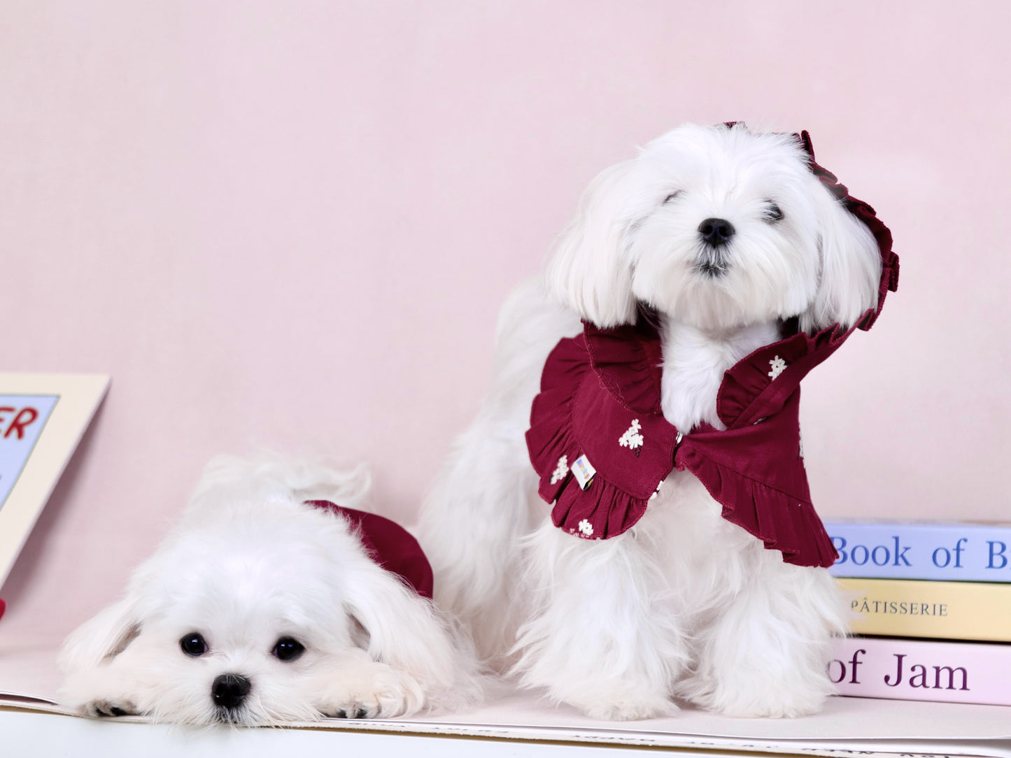 首周り〜23cmまで|犬服|赤ずきん花柄刺繡マント