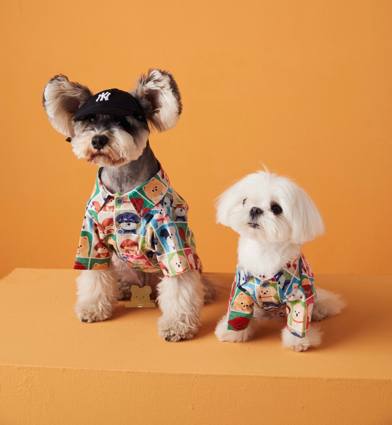 〜11kgまで|犬服|わんちゃんxチェック柄シャツ
