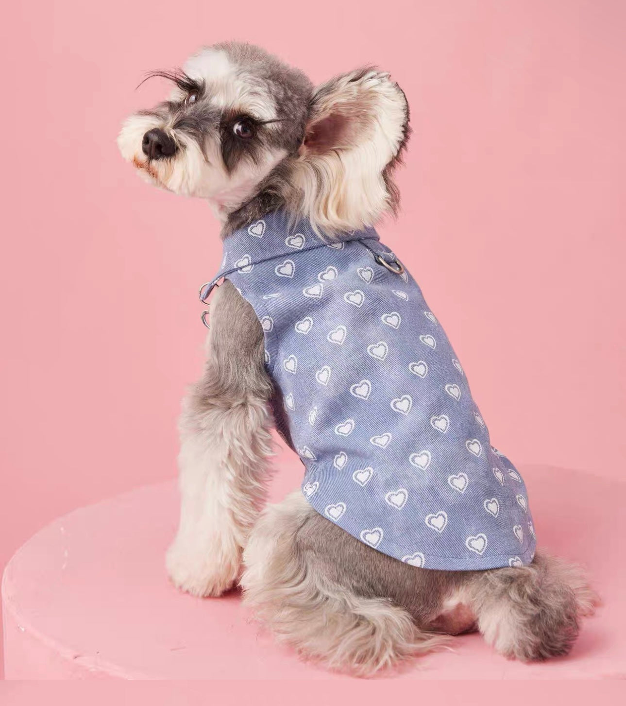 〜11kgまで|犬服|ハート柄デニムベスト