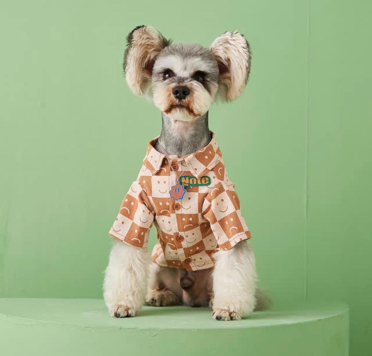 〜11kgまで|犬服|カッコイイ男の子チェック柄シャツ