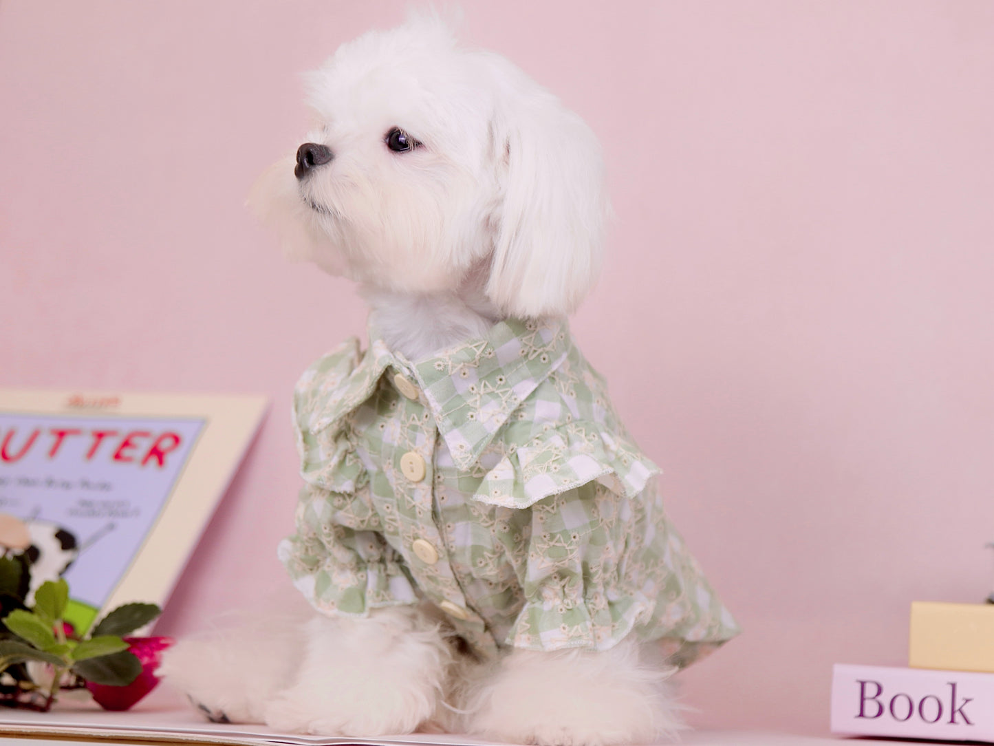 〜7.5kgまで|犬服|スター刺繡チェック柄ブラウス