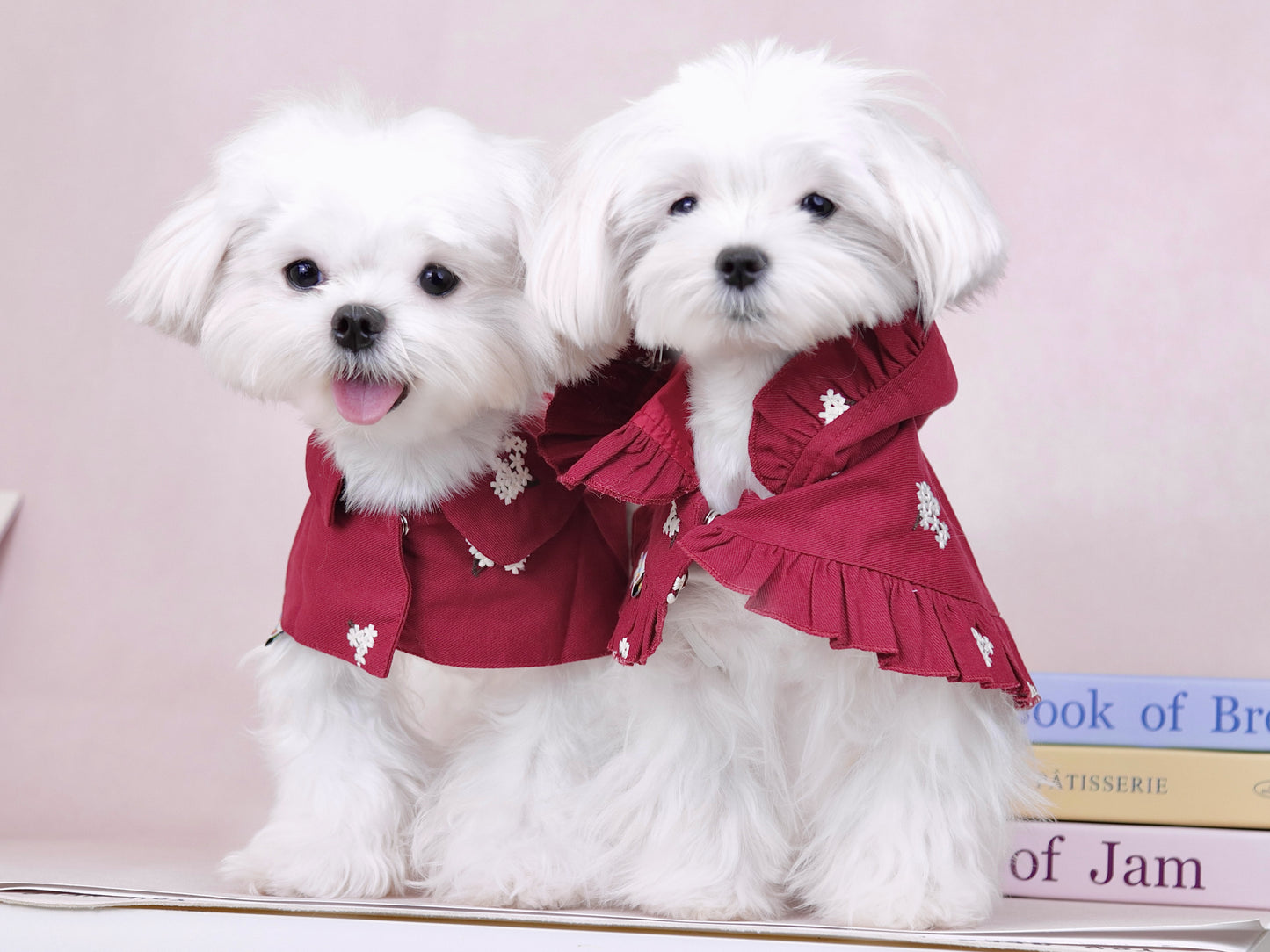 首周り〜23cmまで|犬服|赤ずきん花柄刺繡マント