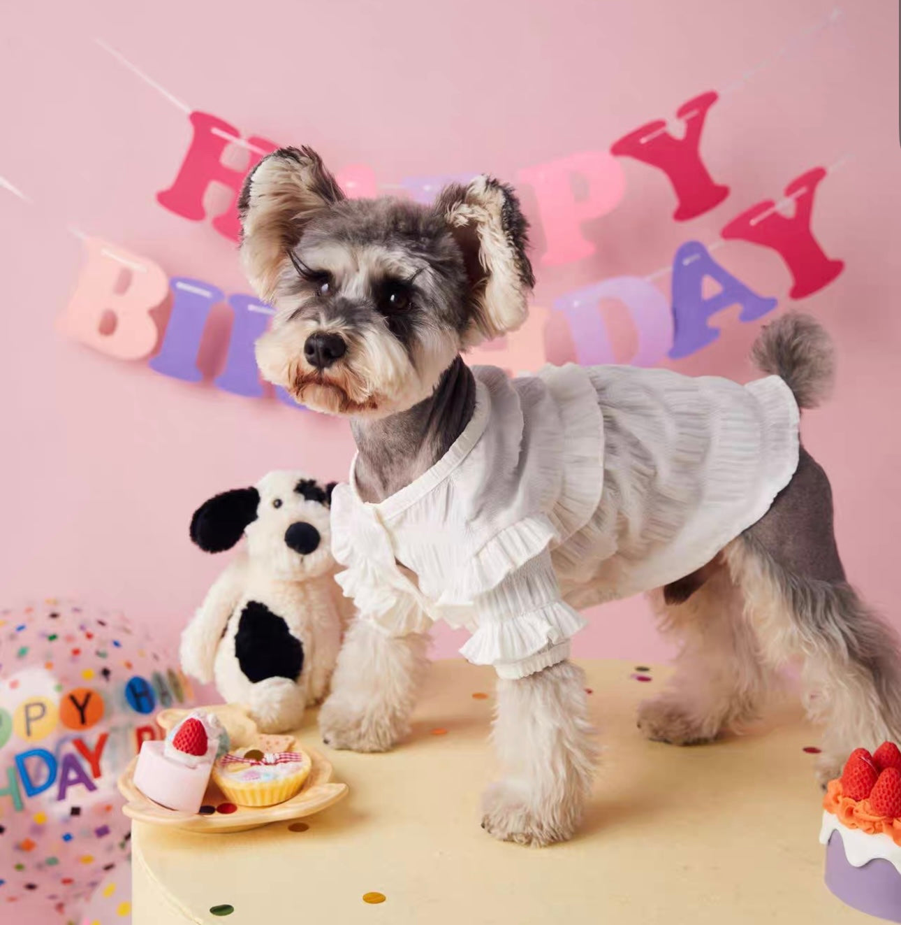 〜11kgまで|犬服|プリンセス風フリルワンピース