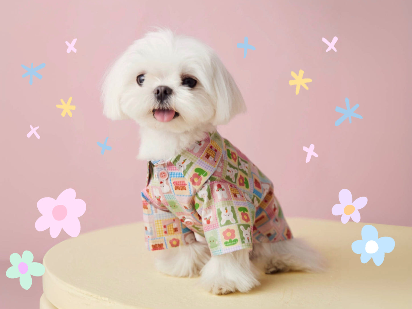 〜11kgまで|犬服|兎柄チェックシャツ