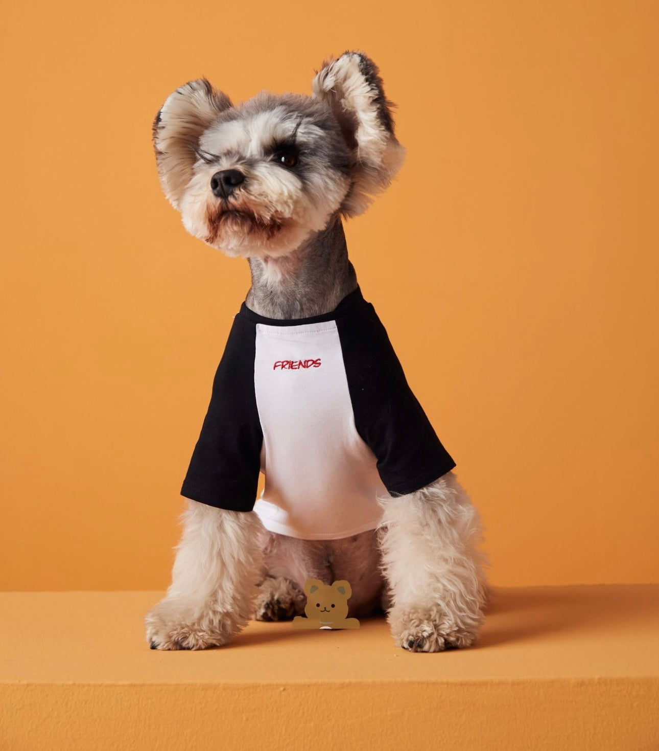〜11kgまで|犬服|わんちゃんの友達刺繍Tシャツ