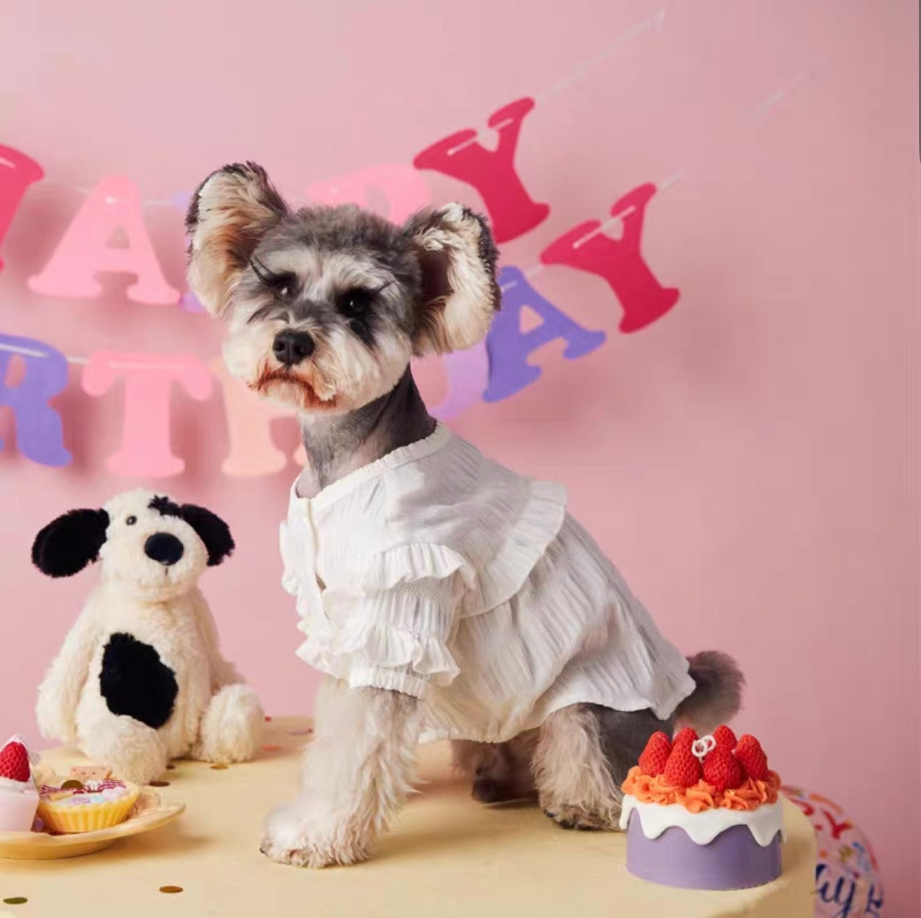 〜11kgまで|犬服|プリンセス風フリルワンピース