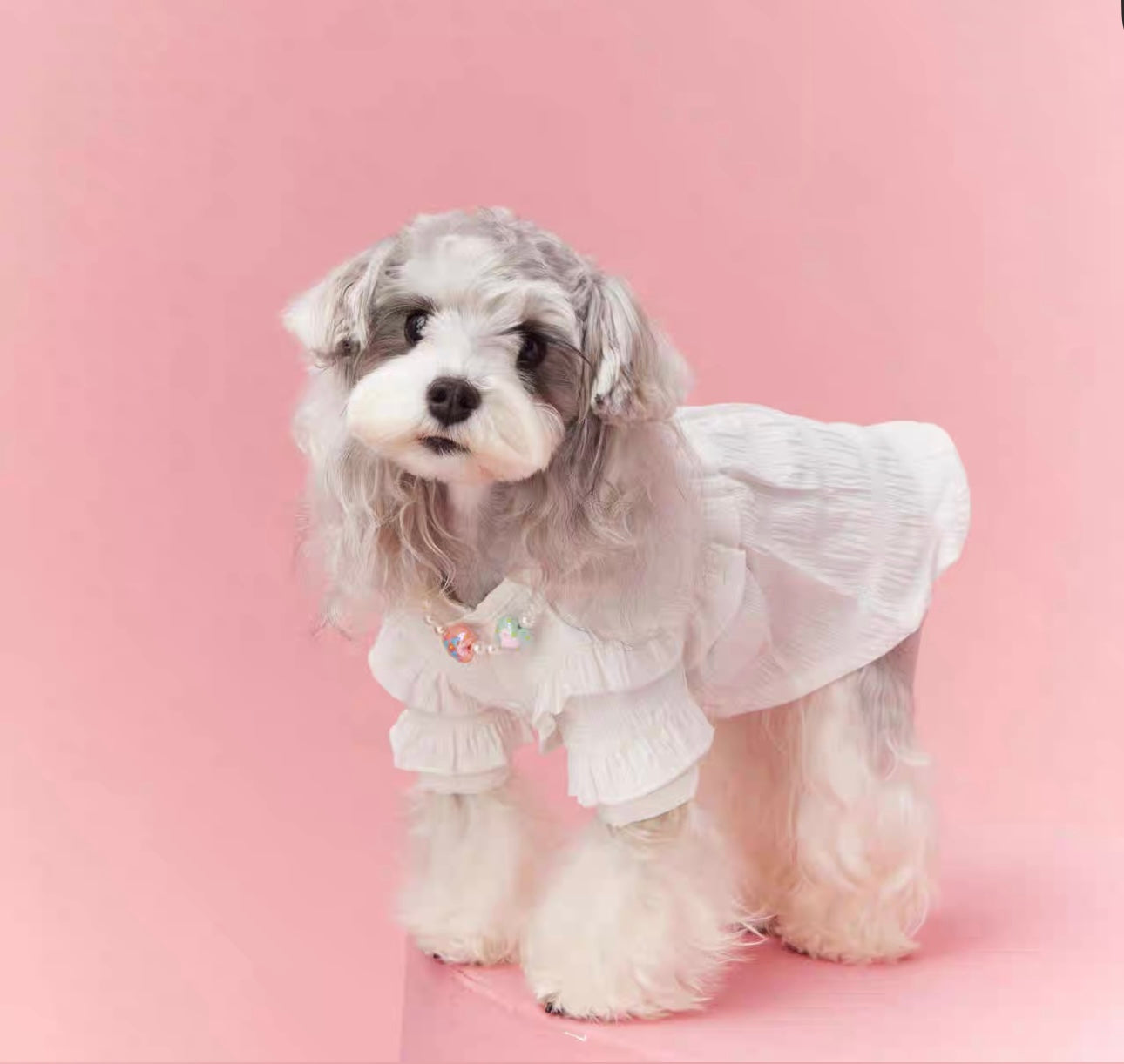 〜11kgまで|犬服|プリンセス風フリルワンピース