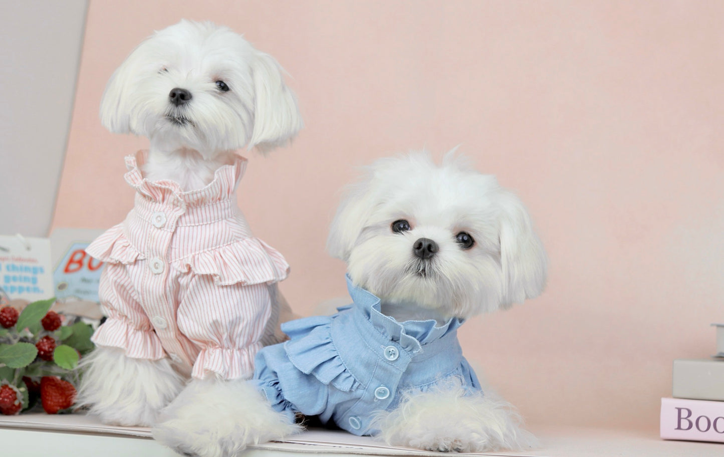 〜7.5kg|犬服🐶🐾| 可愛い ピンク お嬢様のフリルブラウス