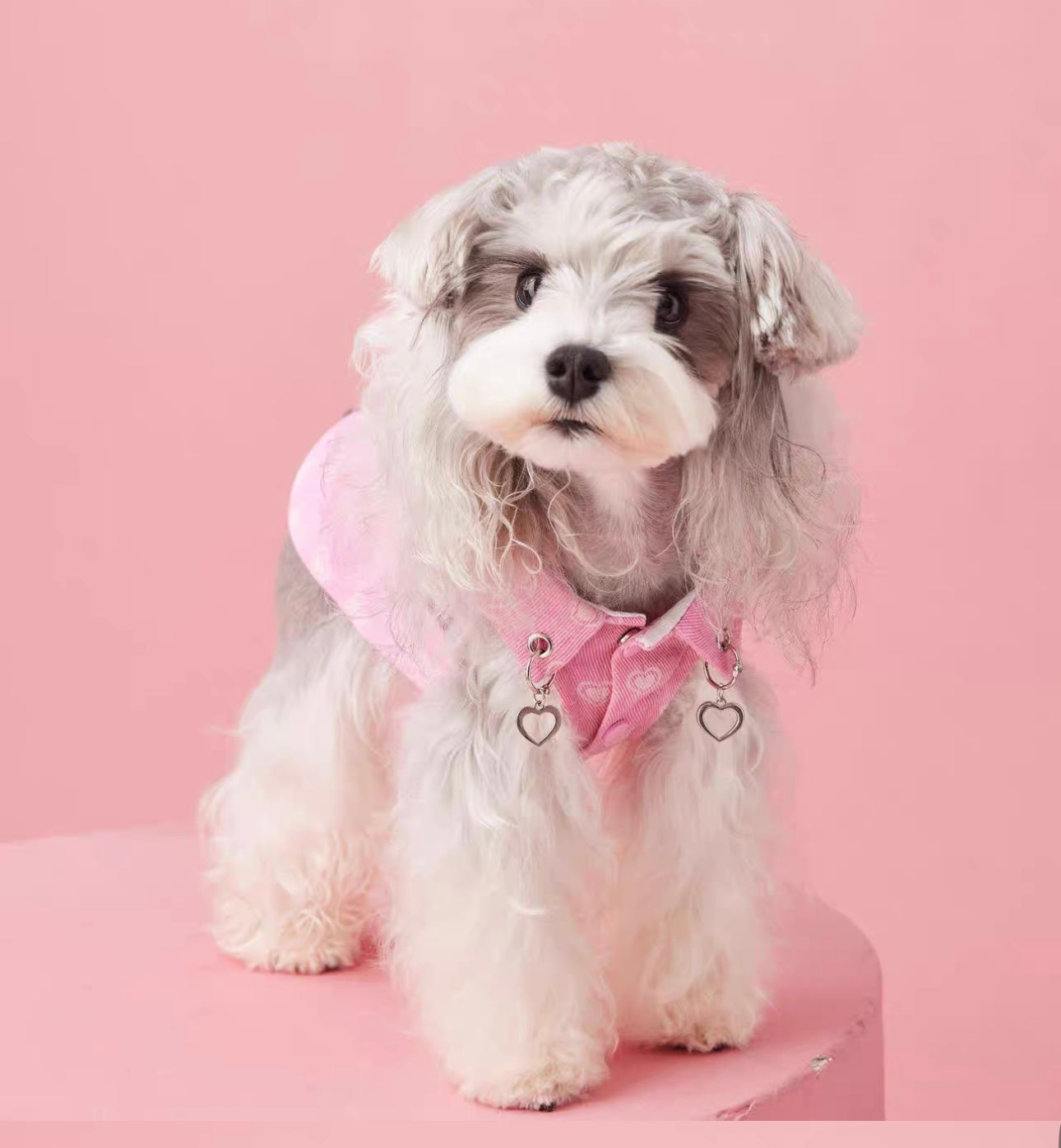 〜11kgまで|犬服|ハート柄デニムベスト